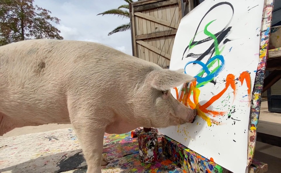 It is only one of the hundreds of paintings made by the four-year-old pig