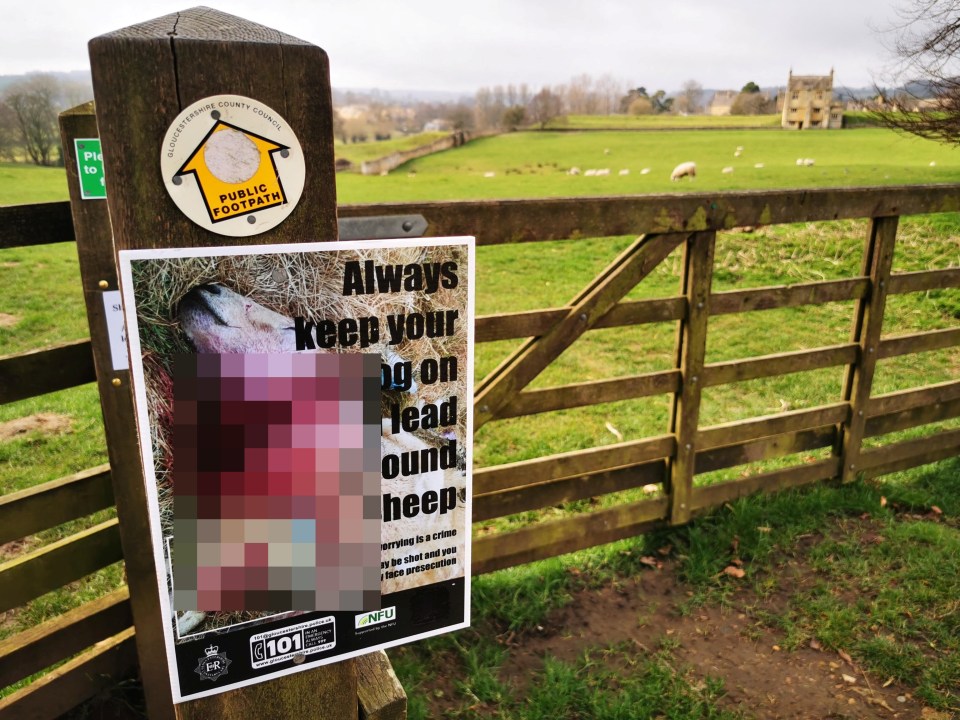 Graphic police posters warn dog walkers to keep pets on a lead