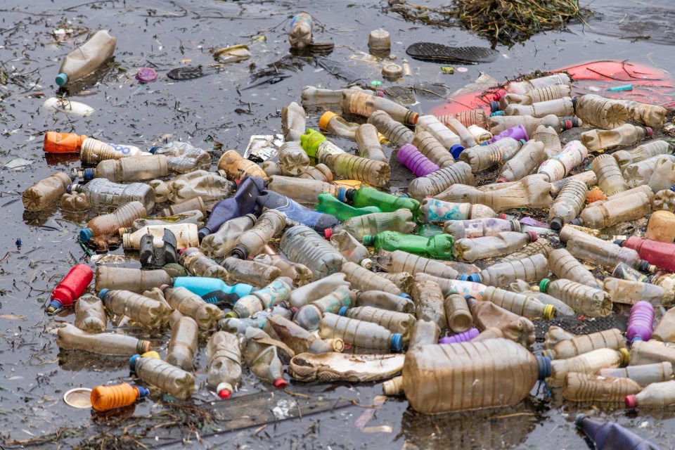 Single use plastic bottles seen floating in polluted water near Cardiff Bay