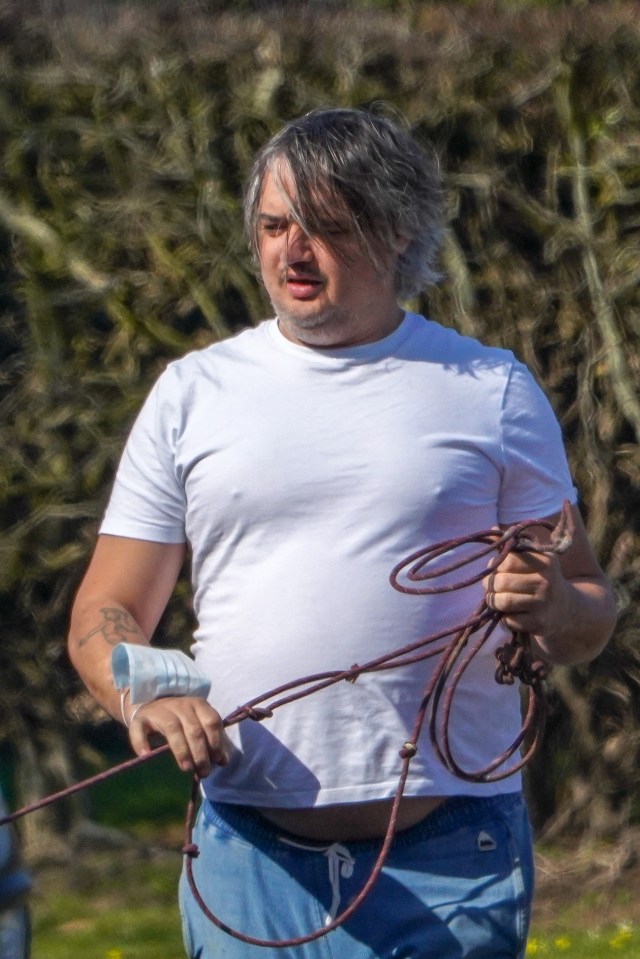 Pete Doherty looks unrecognisable as he walks dog in France