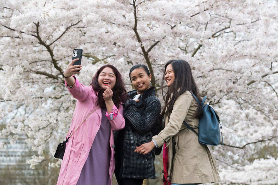 Forecasters warn we'll face a 'rollercoaster' of weather in early April