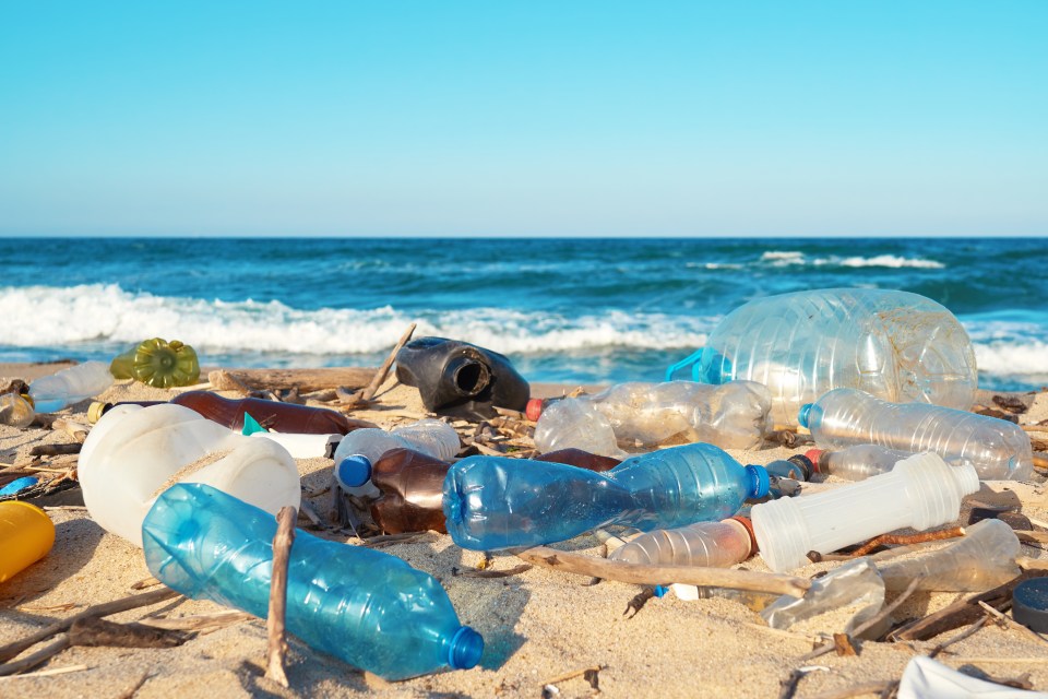 The Sun is campaigning to bring forward plans for a plastic bottle deposit scheme