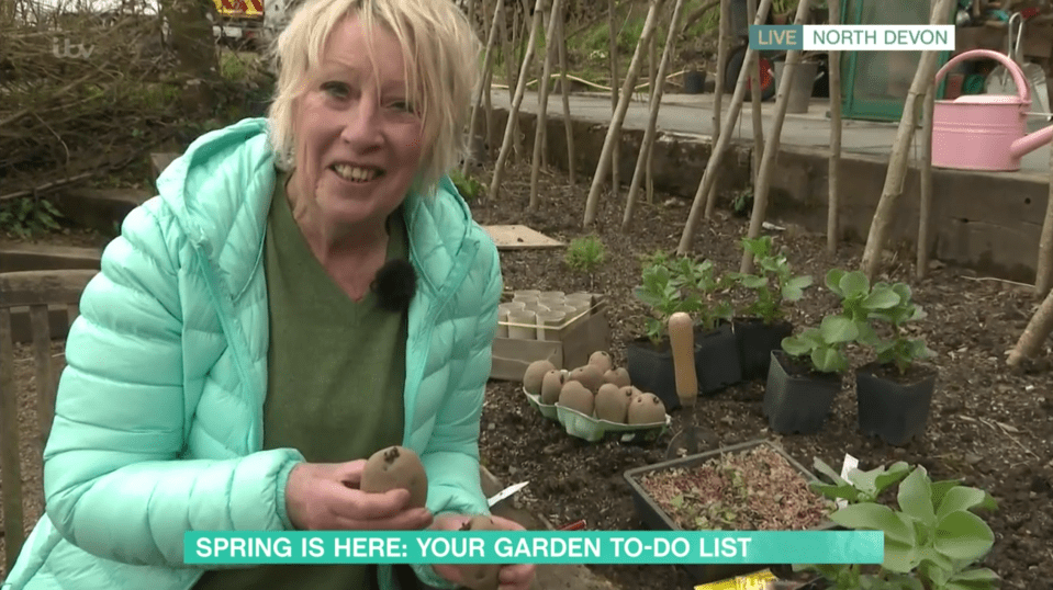 Carol shared her top planting tips to grow a vegetable patch in time for summer