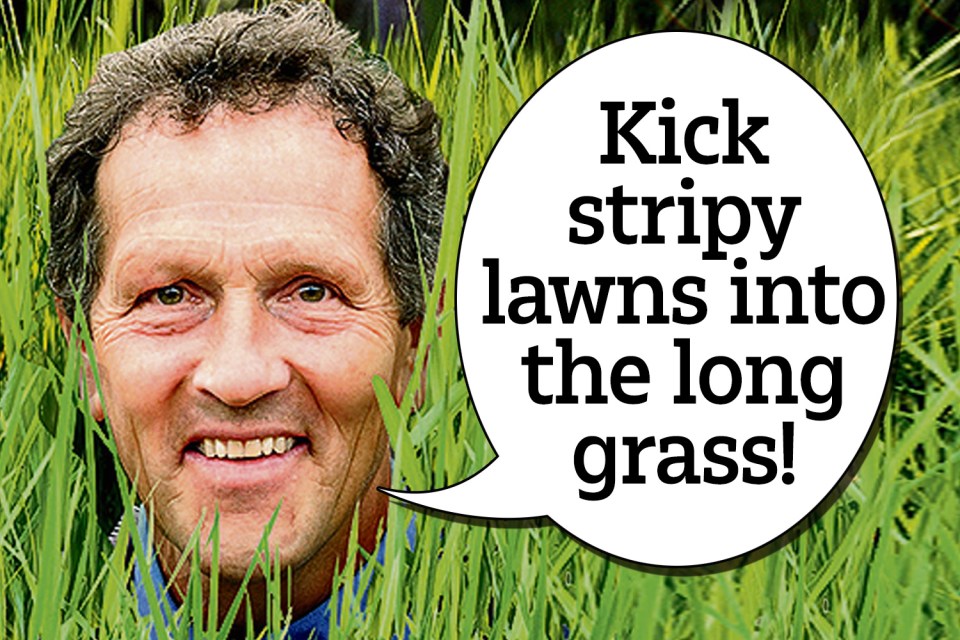 Gardeners’ World star Monty Don tells Brits to stop mowing the grass as it increases climate change