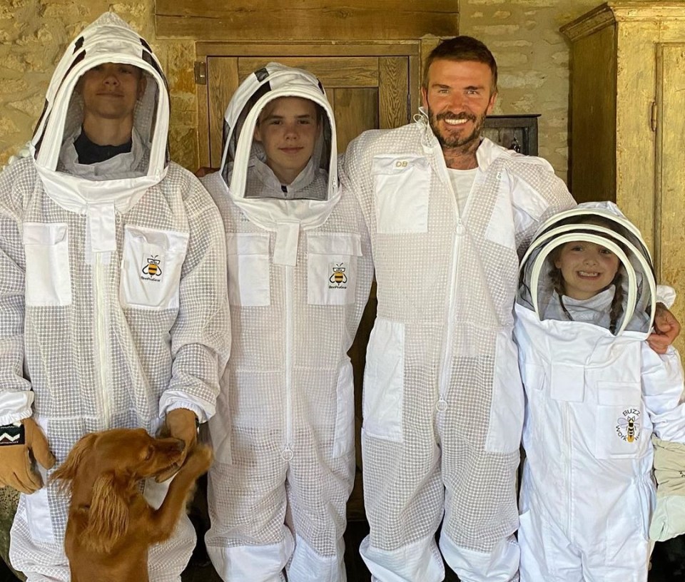 The Beckhams have been buzzing for a spot of beekeeping