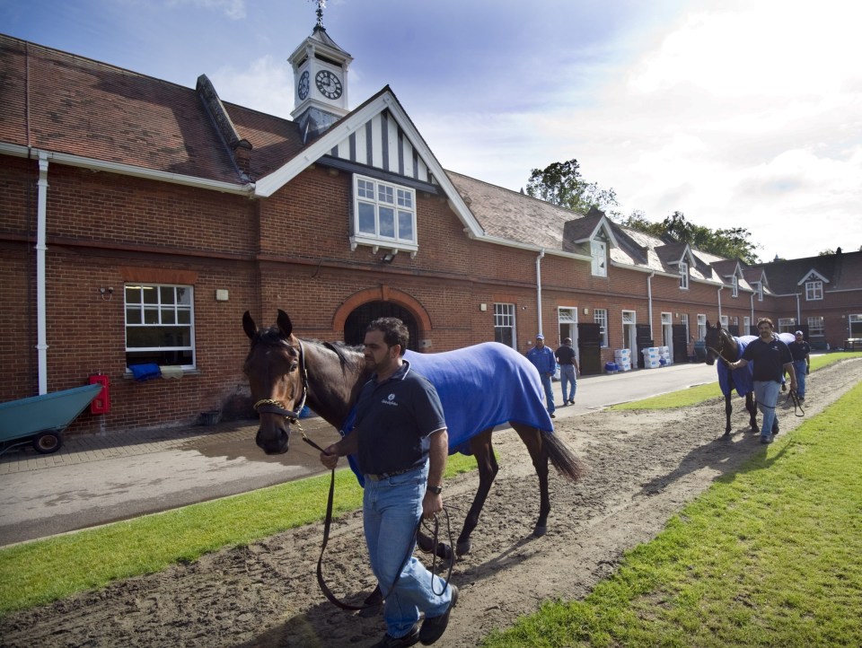 A lot has been spent in Newmarket, home of his elite Godolphin stables and other investments