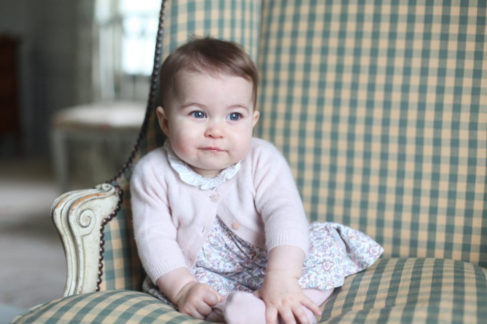 Sitting pretty . . . Charlotte aged seven months in November 2015