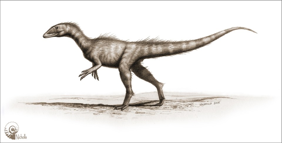 A new species of dinosaur - Dracoraptor Hanigani -  was named after a rare fossil was found in south Wales