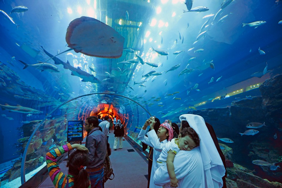 As well as amazing shopping, Dubai Mall is also home to an aquarium