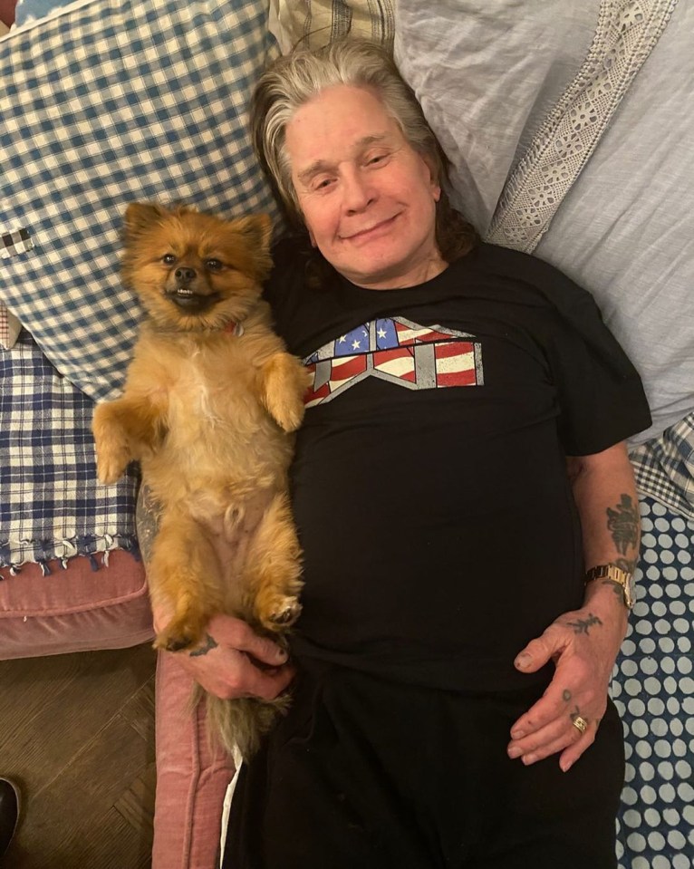 Despite his love of dogs, Ozzy has a troubled history with animals