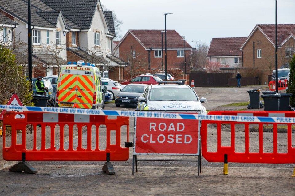 The bodies were found in a plush detached home