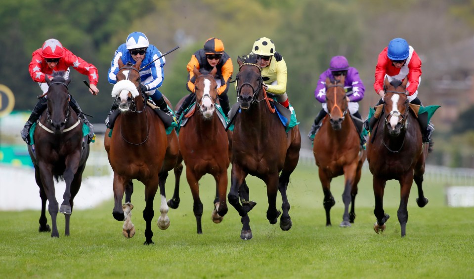 The races featured are building up to Saturday’s Grand National