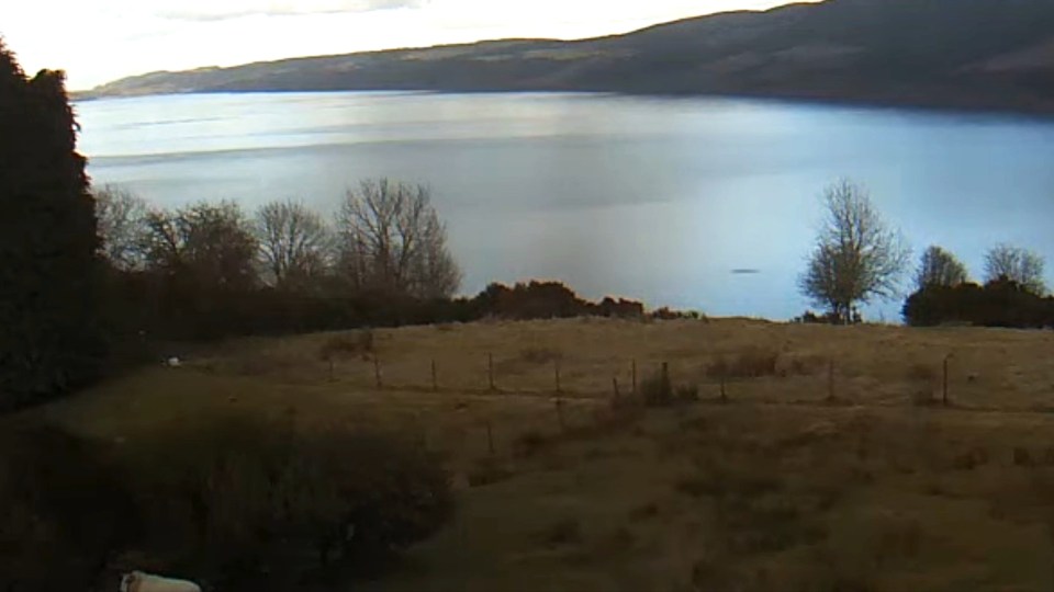 The mystery black shape was seen moving along the waterway in the Scottish Highlands