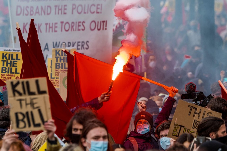 One demonstrator held a torch in Park Lane