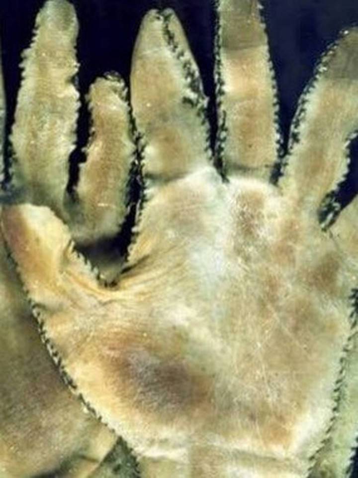 Gein stitched gloves from human flesh