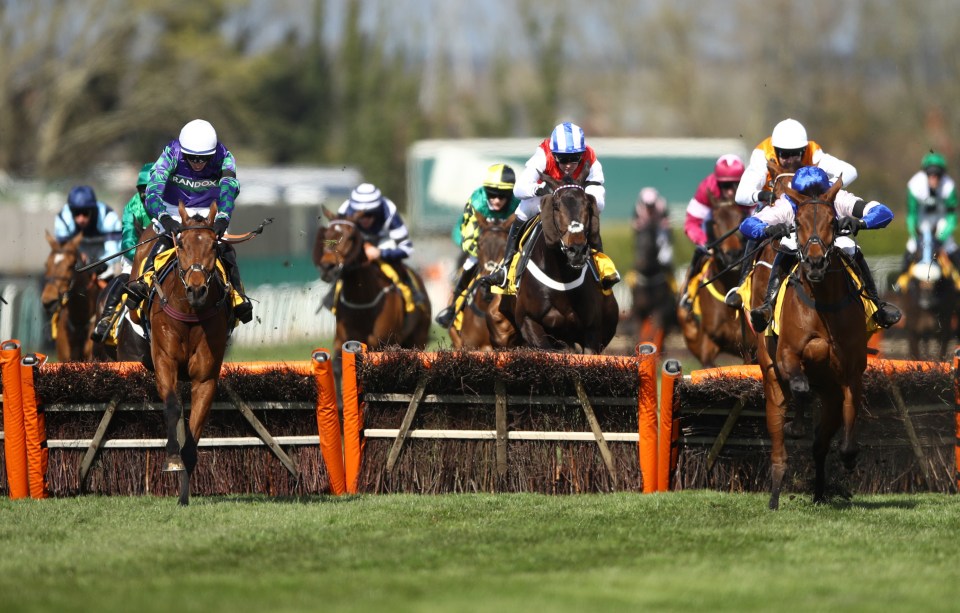 Thyme Hill pipped Roksana to victory in the Stayers' Hurdle