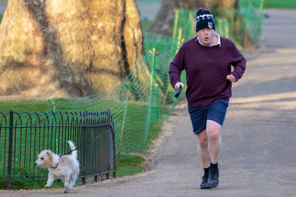 Boris Johnson said today the bulk of the work was down to the lockdown