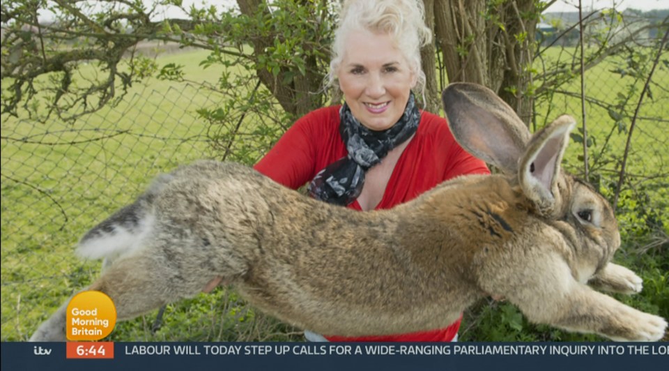 Kate met record-breaking rabbit Darius in the clip