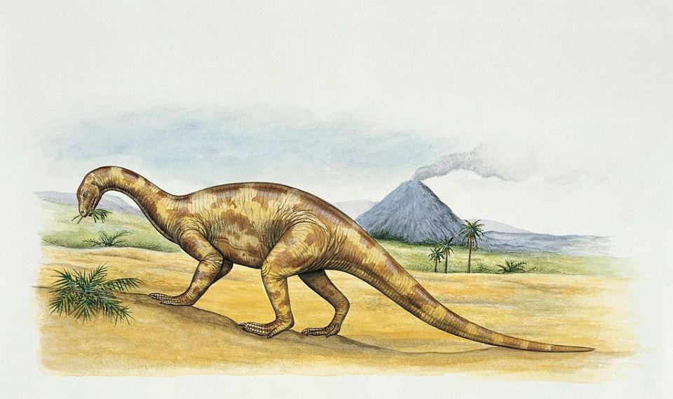 This herbivore liked hotter climates, which included Bristol 200 million years ago