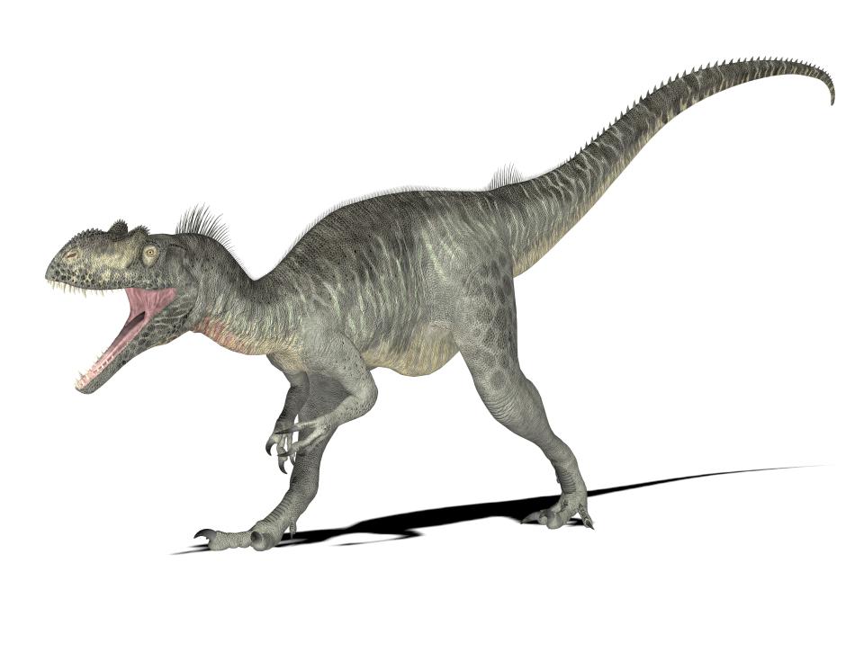 The terrifying megalosaurus was a cousin of the T-Rex