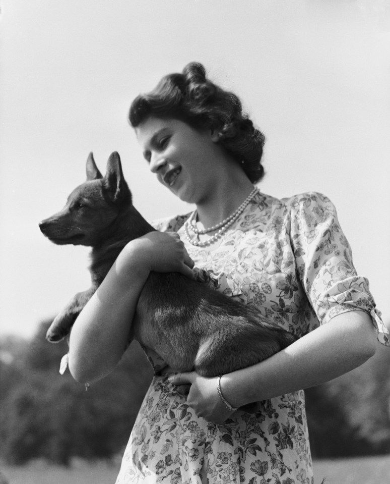 The Queen has owned over 30 Corgis but her first one, Susan, was given to her by her parents for her 18th birthday