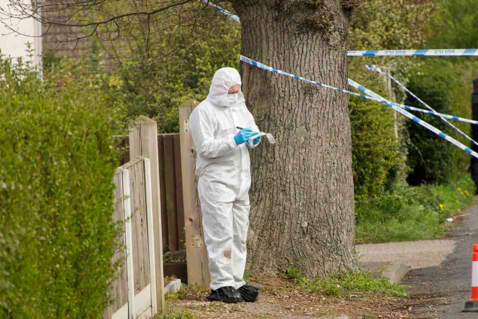 Police at the scene after Mr Allsop was stabbed to death