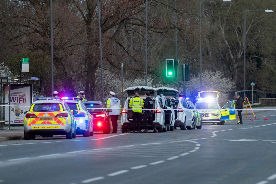 Vehicles and investigators in front of the police car (far right) that struck a pedestrian