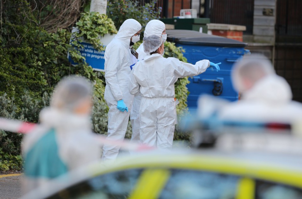 Police have launched a murder probe after a driver allegedly mowed down two people - killing one