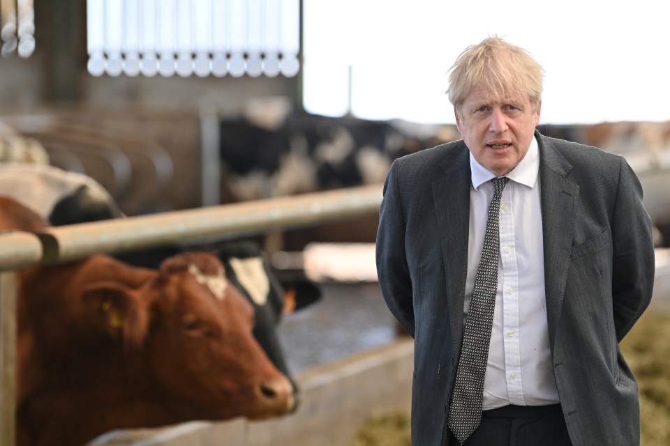 Boris spent cash on £800-a-roll wallpaper