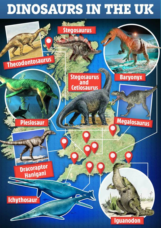 Map to show where dinosaurs once roamed across the UK