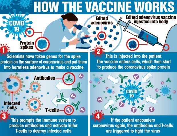 How vaccines from J&J and AstraZeneca work