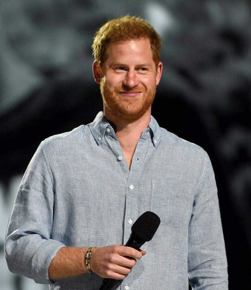 Prince Harry said there is genetic pain which gets passed on through parenting - and he is mindful of that