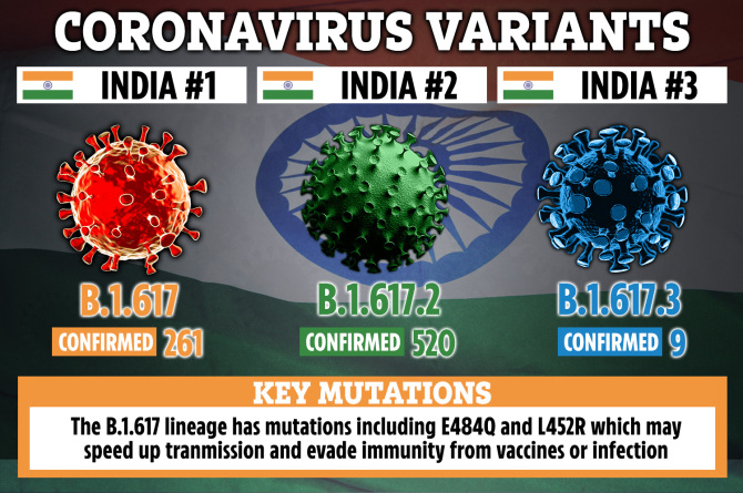 PHE has only confirmed 520 cases of B.1.617.2 as of April 28