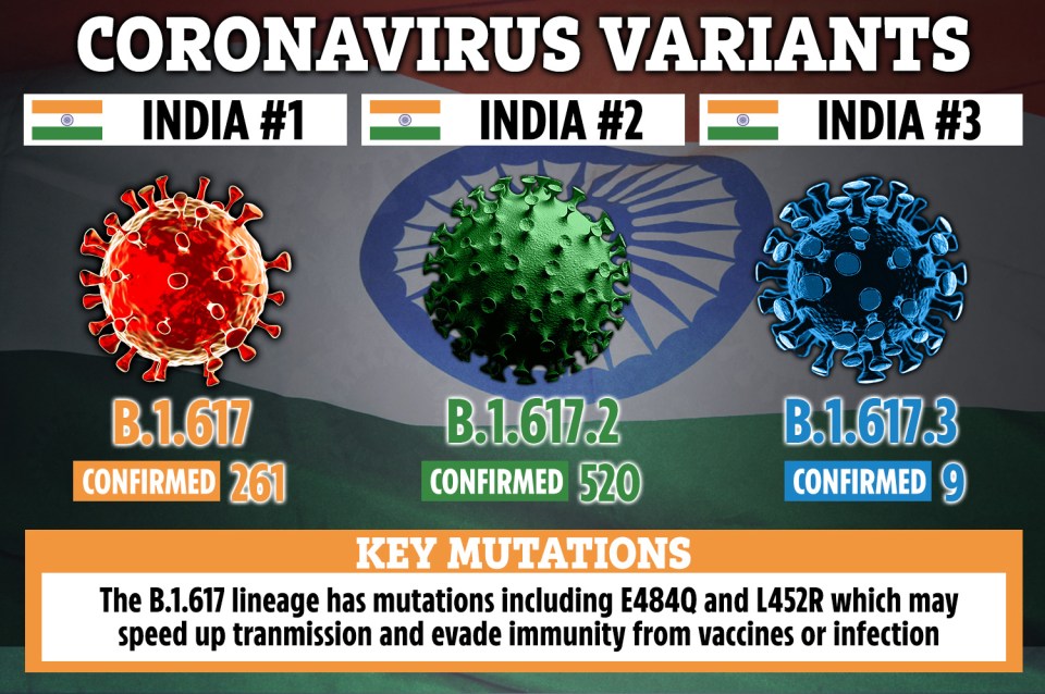 There are three Indian variants, but one (B.1.617.2) is of greatest concern