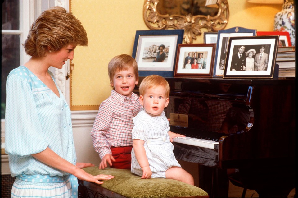 William was just 15 when his mother Princess Diana tragically died