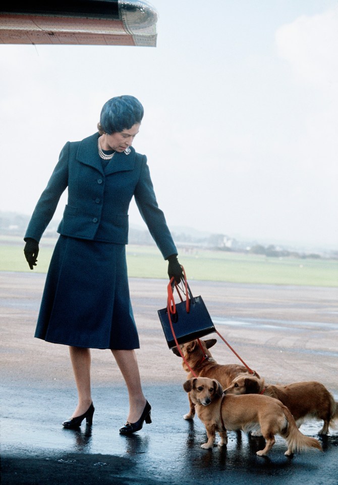 The Queen with her corgis at Aberdeen Airport in 1974