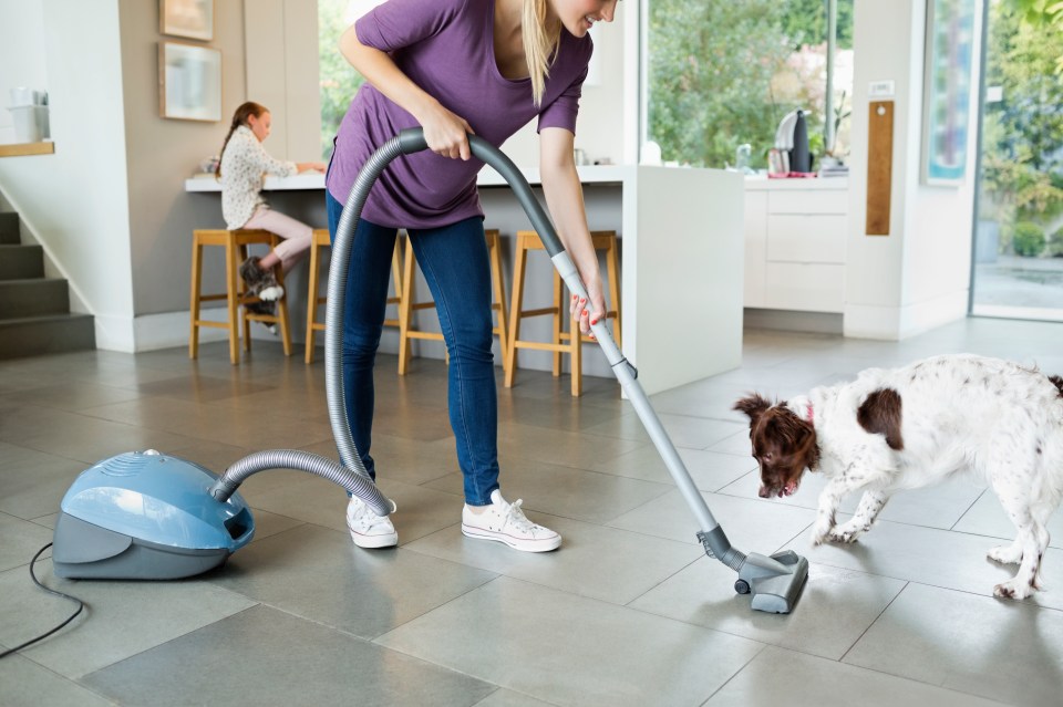 The vacuum hose collects a lot of dirt of not cleaned properly