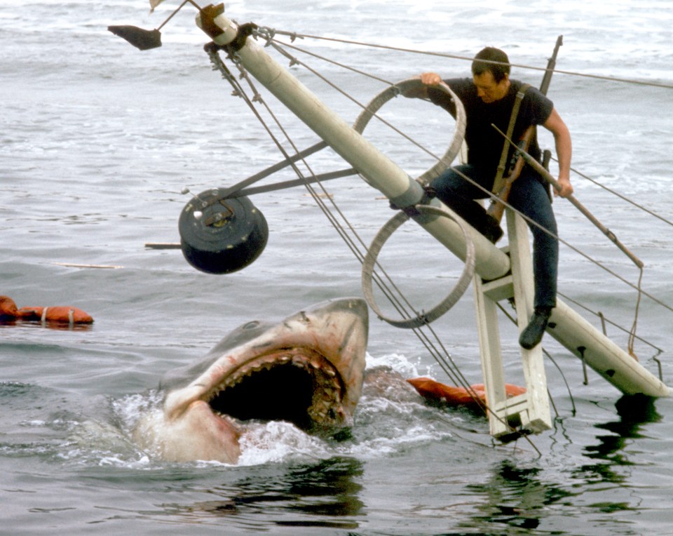 According to Cummings, the PM regretted the first lockdown, saying 'I should have been the mayor of Jaws and kept the beaches open, travel will be destroyed.'