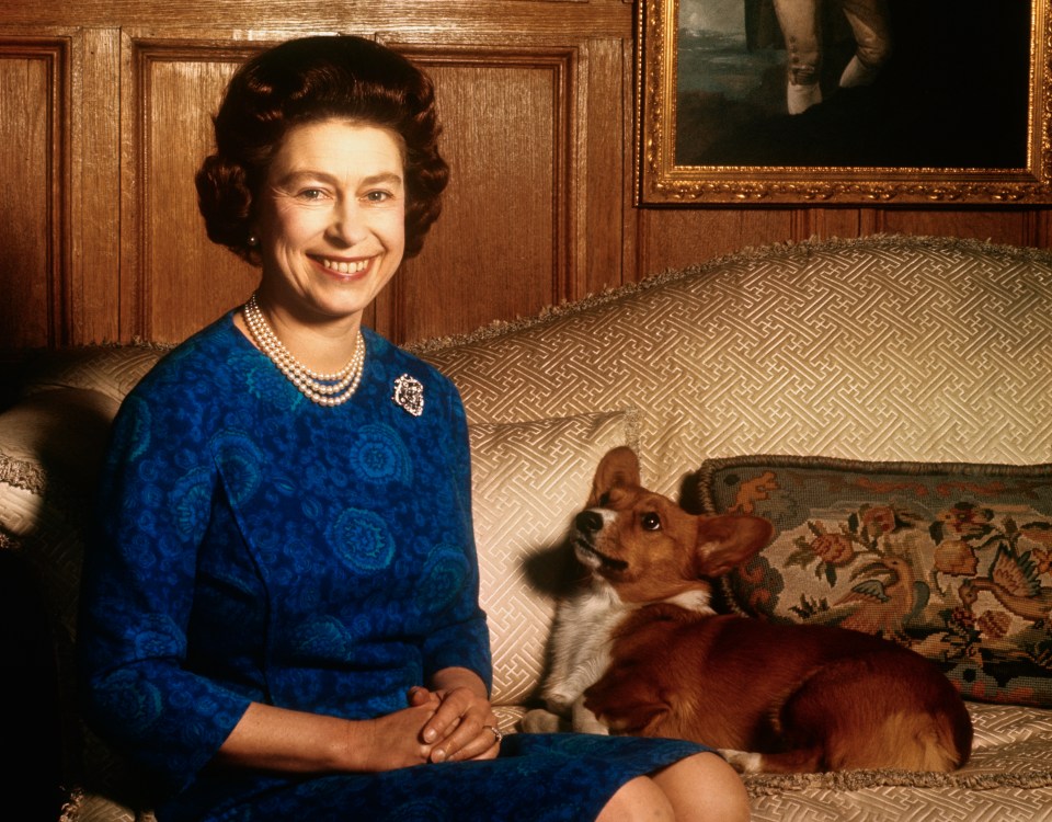 Her Majesty with one of her dogs in the salon at Sandringham House