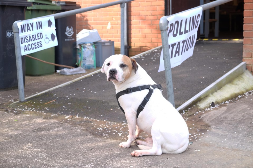 The polling card sent through the post will give details of where you have to go to vote