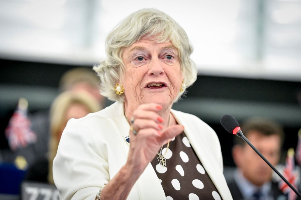 Ann Widdecombe said: 'To me, it’s right sexes have separate loos. Most women would prefer it'