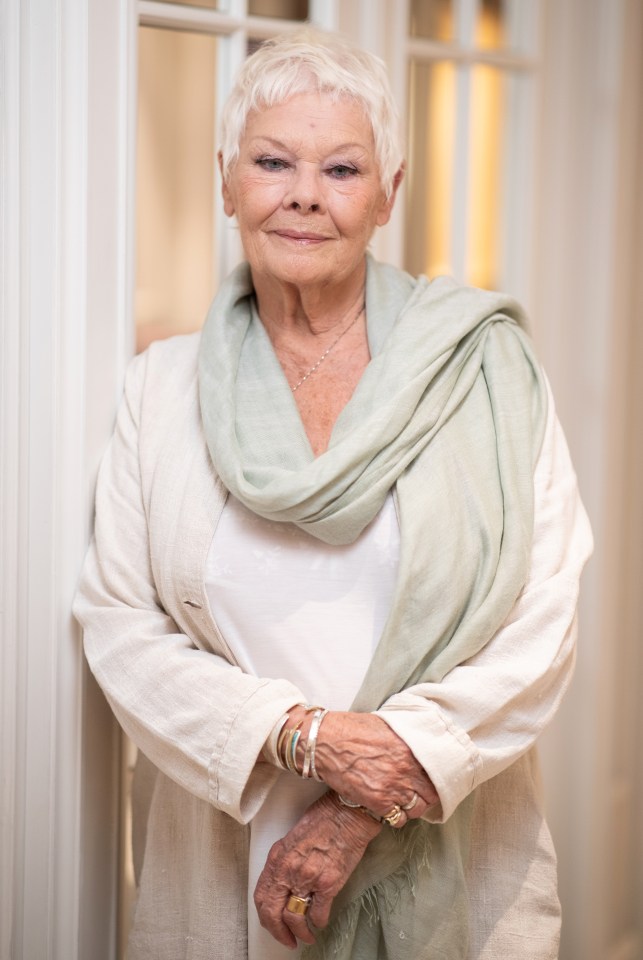 Dame Judi Dench has also called for a nationwide Thank You Day