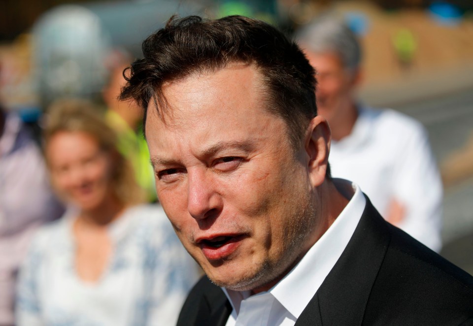 Elon Musk, the head of Tesla, is said to be the third richest man in the world