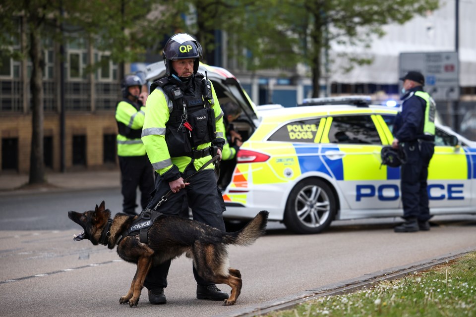 Thirteen officers were injured. Pictured: Cops at the peaceful protests earlier in the day