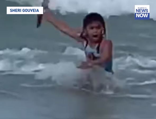 This is the moment a young girl flees in terror after she spots a shark behind her