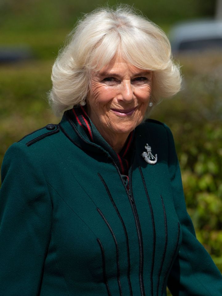 Camilla, the Duchess of Cornwall said she shared 'half a hug' with her grandkids