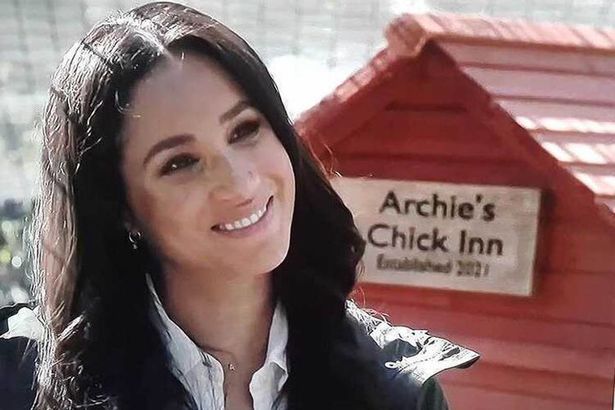 In March Harry and Meghan revealed they had homed a number of rescue chickens