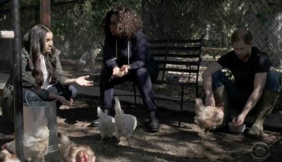 The couple introduced Oprah to the chickens