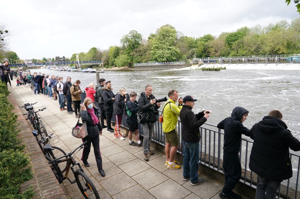 People lined the lock this afternoon to get a glimpse of the animal