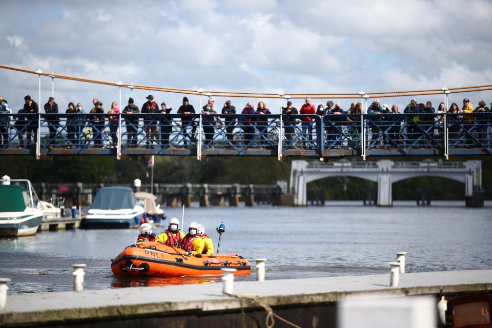 watch as a boat of the Royal National Lifeboat Institution (RNLI) looks for the three-metre minke whale